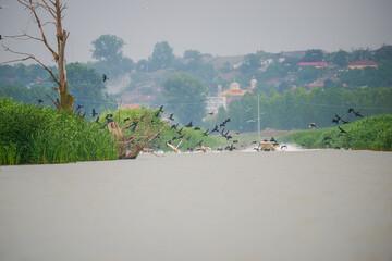 Landscapăe in Danube Delta