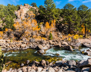 Fall Color on The Arkansas River, Buena Vista, Colorado, USA