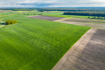 Obraz premium Crop and agriculture concept, drone flying over field countryside at sunny cloudy spring time. Wonderful aerial video for ecological concept