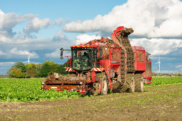 Beet harvesters in the field 845