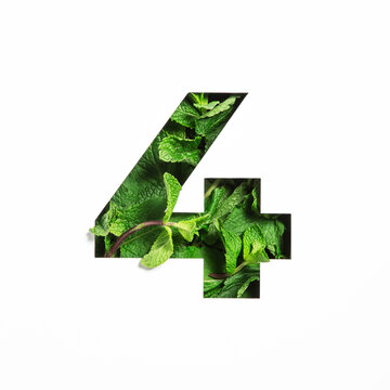 Number four made of green mint natural leafs and paper cut in shape of fourth numeral isolated on white. Leaves font