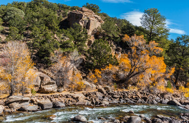 Fall Color on The Arkansas River, Buena Vista, Colorado, USA