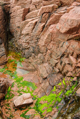 Acadia National Park