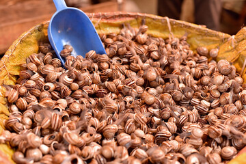 panier rempli d'escargots vivants à a vente dans un marché 