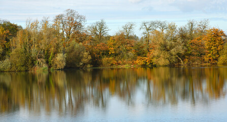 Trees in Autumn colours with water and reflections
