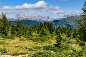 Trentino Alto Adige, passo di Lavazè Oclini,  Val di Fiemme
