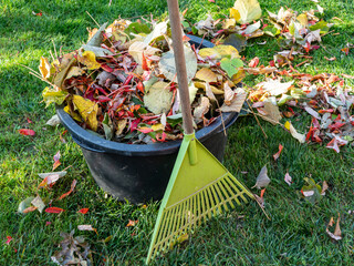 Gartenarbeit im Herbst Laubrechen mit Laub
