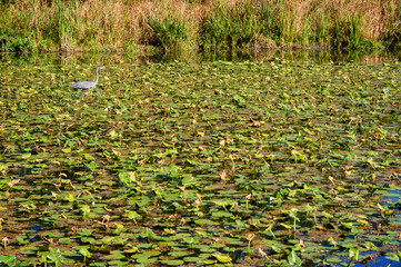 Cuyahoga Valley National Park