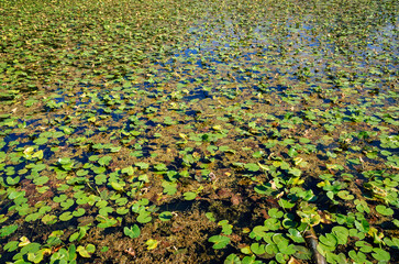 Cuyahoga Valley National Park
