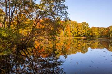 Obraz premium Autumn trees alley with colorful leaves in the park