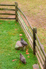 Hopewell Furnace National Historic Site