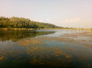 lake in the morning