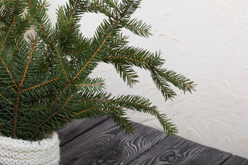 Branches of green spruce stand on pine boards. Against a background of white plaster.