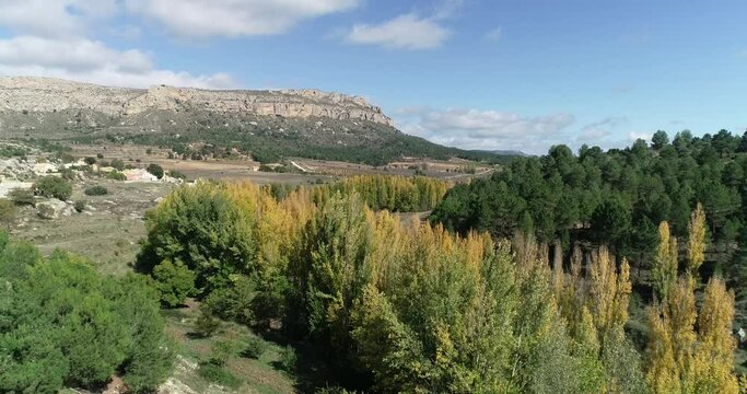 Oto&ntilde;o sobre chopos  