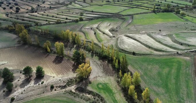 Oto&ntilde;o sobre chopos  y campos con drone 