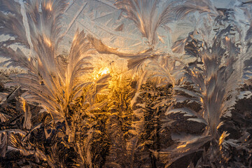 the frosty patterns on the window