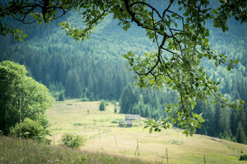 Landscape summer view of carpathian mountains near Verkhovyna, Ukraine.