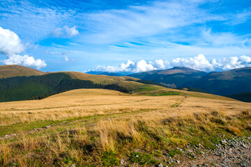 Fototapeta na wymiar Landscape in Sureanu Mountains