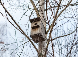 Bird house birdhouse made of wooden boards on birch close up in autumn against the gray sky