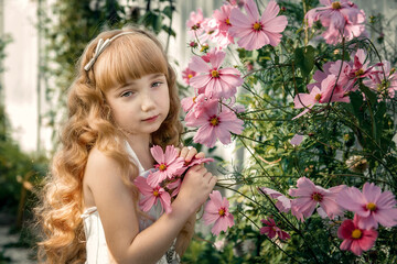 Naklejka premium beautiful 10-year-old girl with thick curly long blonde hair with pink chamomile flowers. Little gardener among the flowers