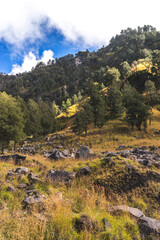 Fototapeta na wymiar autumn in the mountains, beautiful landscape in Indonesia, trekking and hiking outdoors in the mountains, adventure travel concept, Mount Rinjani at Lombok Island