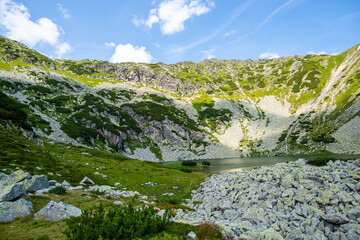 Fototapeta na wymiar Landscape in Carpathian Mountains, Retezat Mountains, Romania