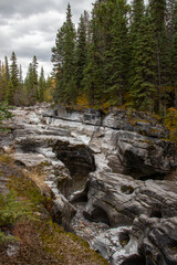 Fototapeta na wymiar mountain river in the forest at Maligne Canyon at Jasper National Park