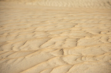 closeup of sand pattern of a beach in the summer, Background, texture. design