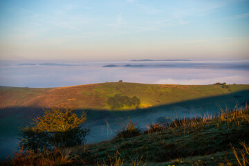 Morning fog landscape