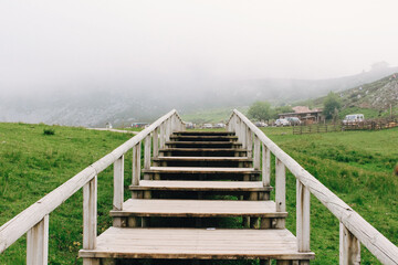 stairs in the mountains leading to a dense fog
