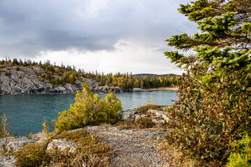 Fototapeta na wymiar landscape with lake and trees at Pukaskwa National Park, Marathon, Ontario