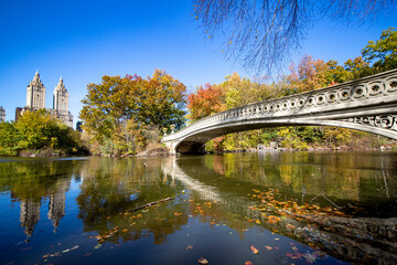 The Bow Bridge over the Lake in Central Park, 