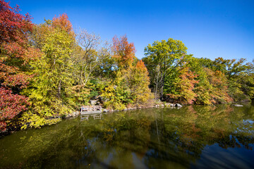 Trees reflect off the South Branch of the Lake in Central Park