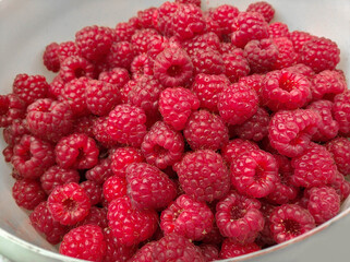 ripe juicy raspberries on a white background