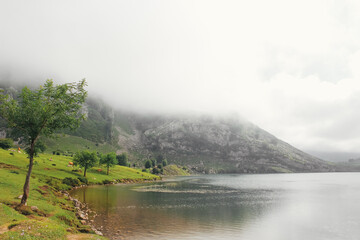 misty morning in the mountains over a lake