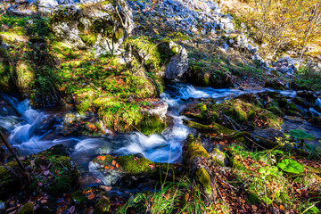 Wild river in the fall season , long exposure