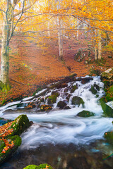 Wild river in the fall season , long exposure