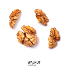 Walnuts isolated on white background. Walnut kernels and whole walnuts