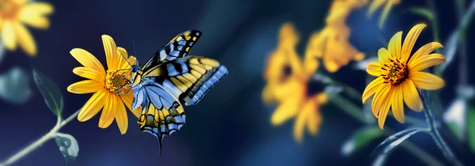 Fotobehang Kleine gele heldere zomerbloemen en bij op een achtergrond van blauw en groen gebladerte in een sprookjestuin. Macro artistiek beeld. Bannerformaat. © delbars