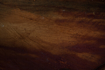 photo of tree texture, showing tree bark. wavy textures and strong colors. background for texts