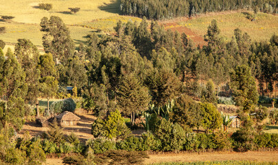 Naklejka premium A traditional Ethiopian home sits on farmland in the remote highlands,
