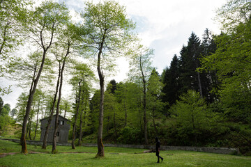 person walking in the woods