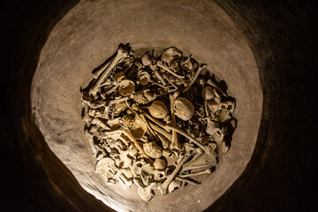 Group of human bones in the dark. Grupo de huesos humanos en la osucridad.