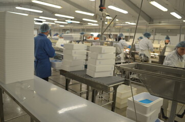 Iceland,  Ísafjörður, Isafjordur, Suðureyri, Sudureiri, Bolungarvik, Ósvör Maritime Museum, 
westfjords