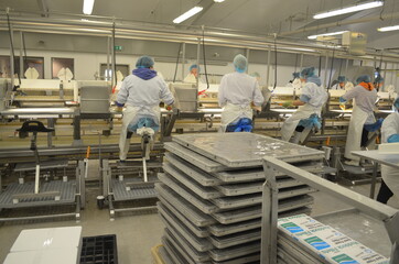 Iceland,  Ísafjörður, Isafjordur, Suðureyri, Sudureiri, Bolungarvik, Ósvör Maritime Museum, 
westfjords