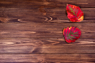 Yellow maple leaves on a brown wooden background.