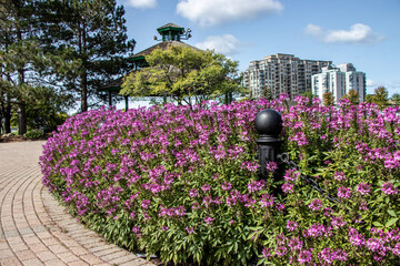flowers and gazebo at Barrie, Ontario waterfront park on a summer day