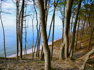 Baltic Sea, forest path, Poland