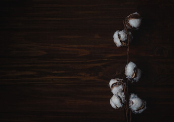 branch of cotton on brown wooden background top view