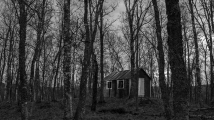 old cabin in the woods, Black and white